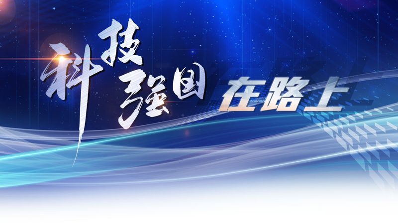 SaaS平台：弹性扩展，按需付费